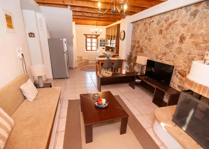 Dimis Asomatos Homes Case de vacanță *