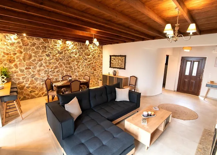 Dimis Asomatos Homes 別荘 *